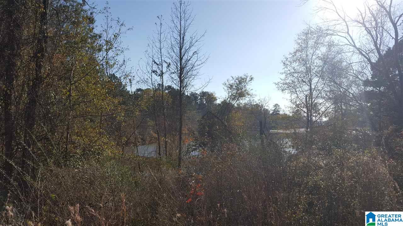 0 Haven Circle, Unit 39 Riverside, AL 35135 - Photo 8 of 32