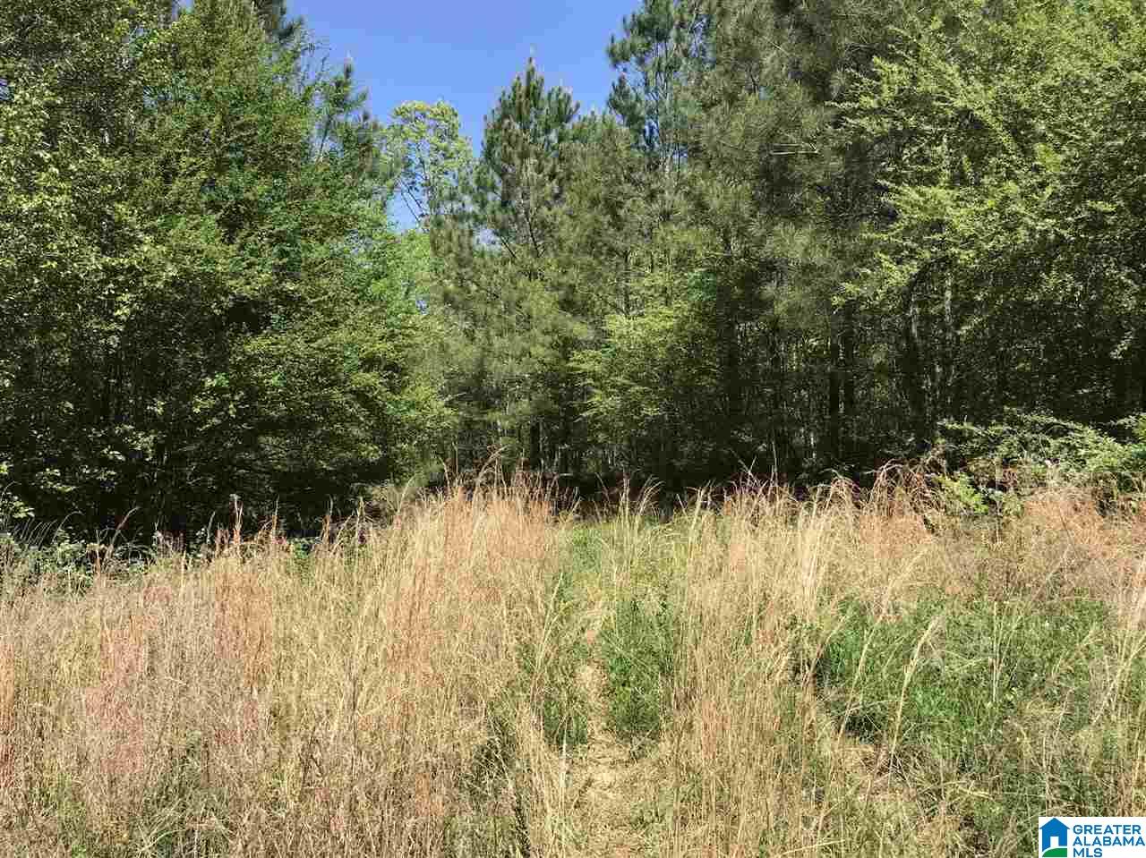 0 Acton Road, Unit 53 ACRE Moody, AL 35004 - Photo 12 of 33 Gallery Image 12