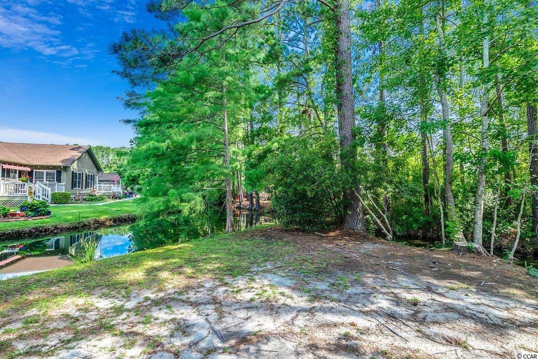 1302 Conifer Court Murrells Inlet, SC 29576 - Photo 23 of 35