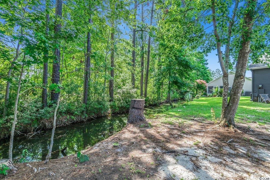 1302 Conifer Court Murrells Inlet, SC 29576 - Photo 24 of 35