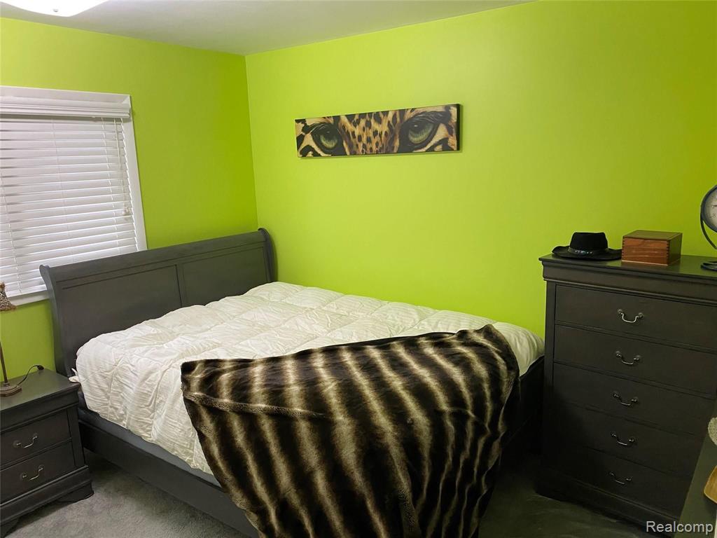 3210 Kings Mill Road North Branch, MI 48461 - Photo 9 of 23