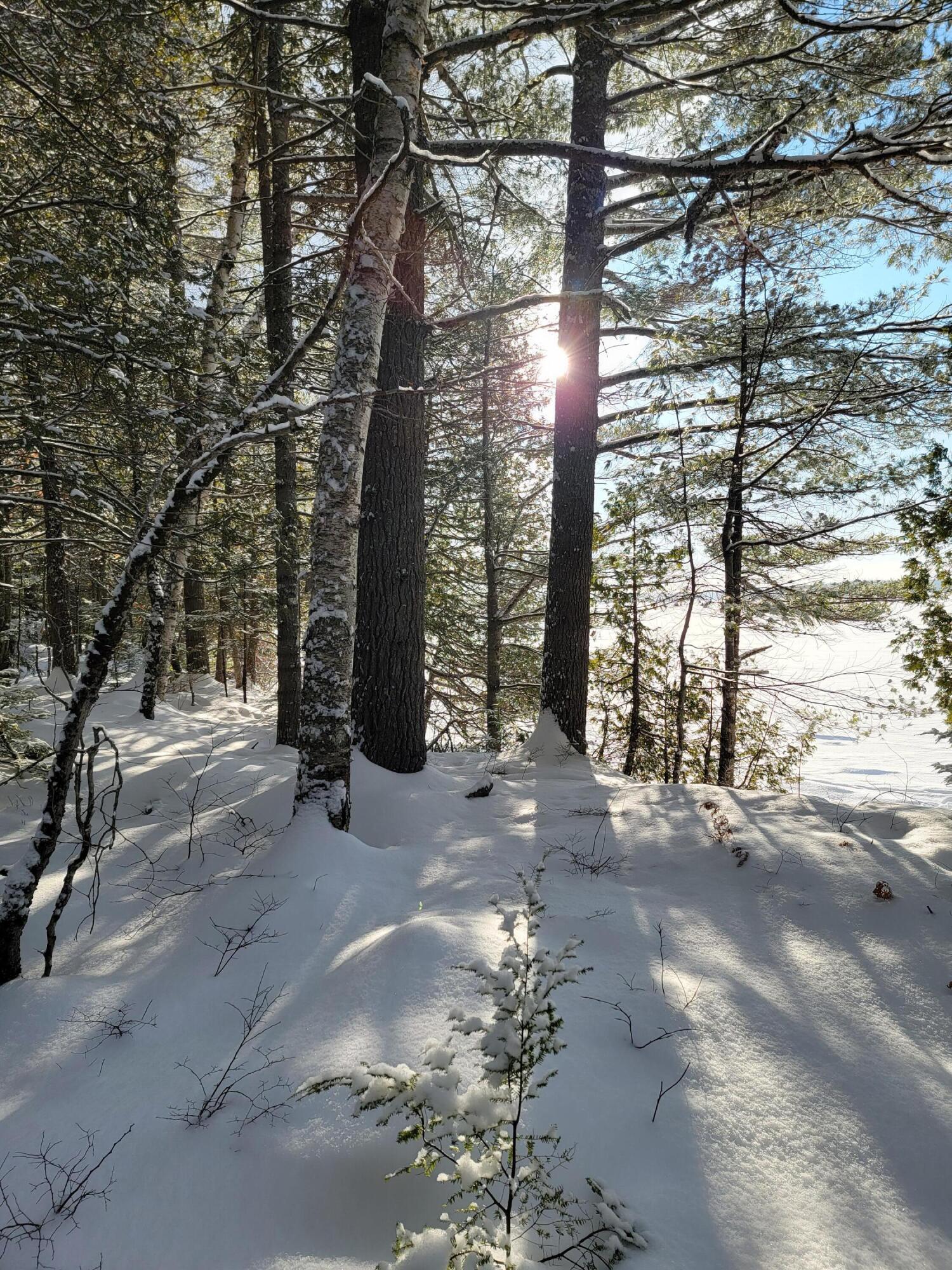 0 Railroadbed Rd Lake View Milo, ME 04463 - Photo 51 of 68 20220125_143855