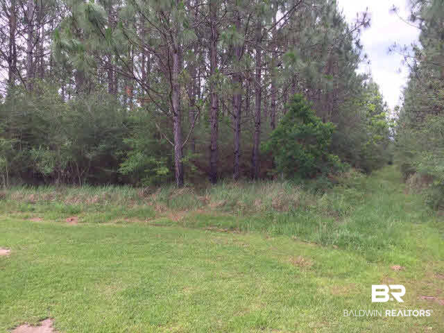 0 Jernigan Lane Robertsdale, AL 36567 - Photo 1 of 1