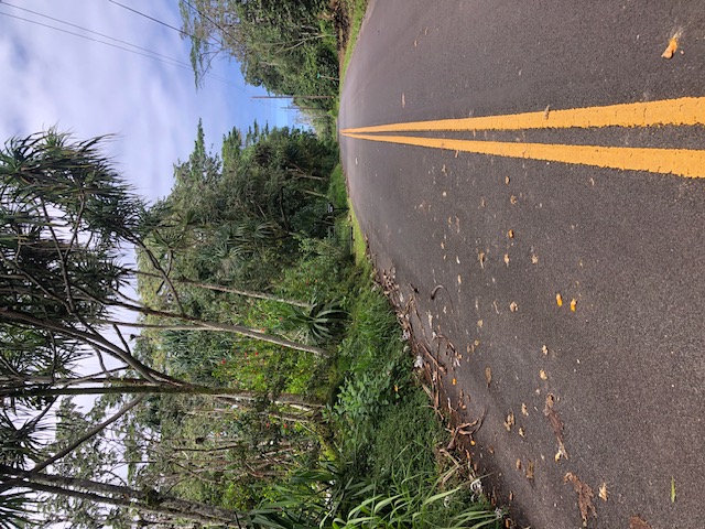 1398 Puni Makai Loop North Pahoa, HI 96778 - Photo 1 of 11 a view of a outdoor space