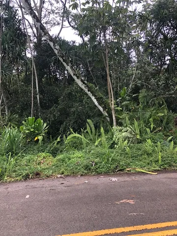 $23,000 | 1398 Puni Makai Loop North, Pahoa, HI 96778