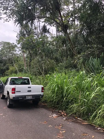 a view of a car parked in front of a house