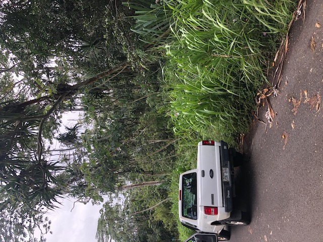 1398 Puni Makai Loop North Pahoa, HI 96778 - Photo 3 of 11 a view of a car parked in front of a house