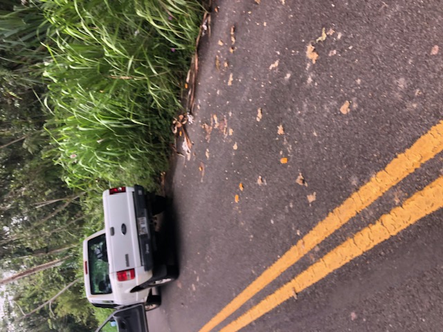 1398 Puni Makai Loop North Pahoa, HI 96778 - Photo 4 of 11 a view of a car parked in back yard