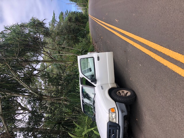 1398 Puni Makai Loop North Pahoa, HI 96778 - Photo 7 of 11 a view of a car parked in back of a house