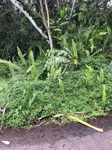 a view of outdoor space and garden