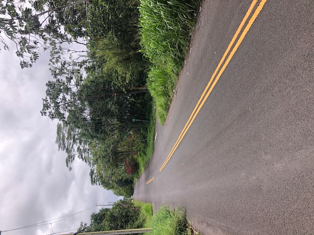 1398 Puni Makai Loop North Pahoa, HI 96778 - Photo 10 of 11 a view of a road with a building in the background
