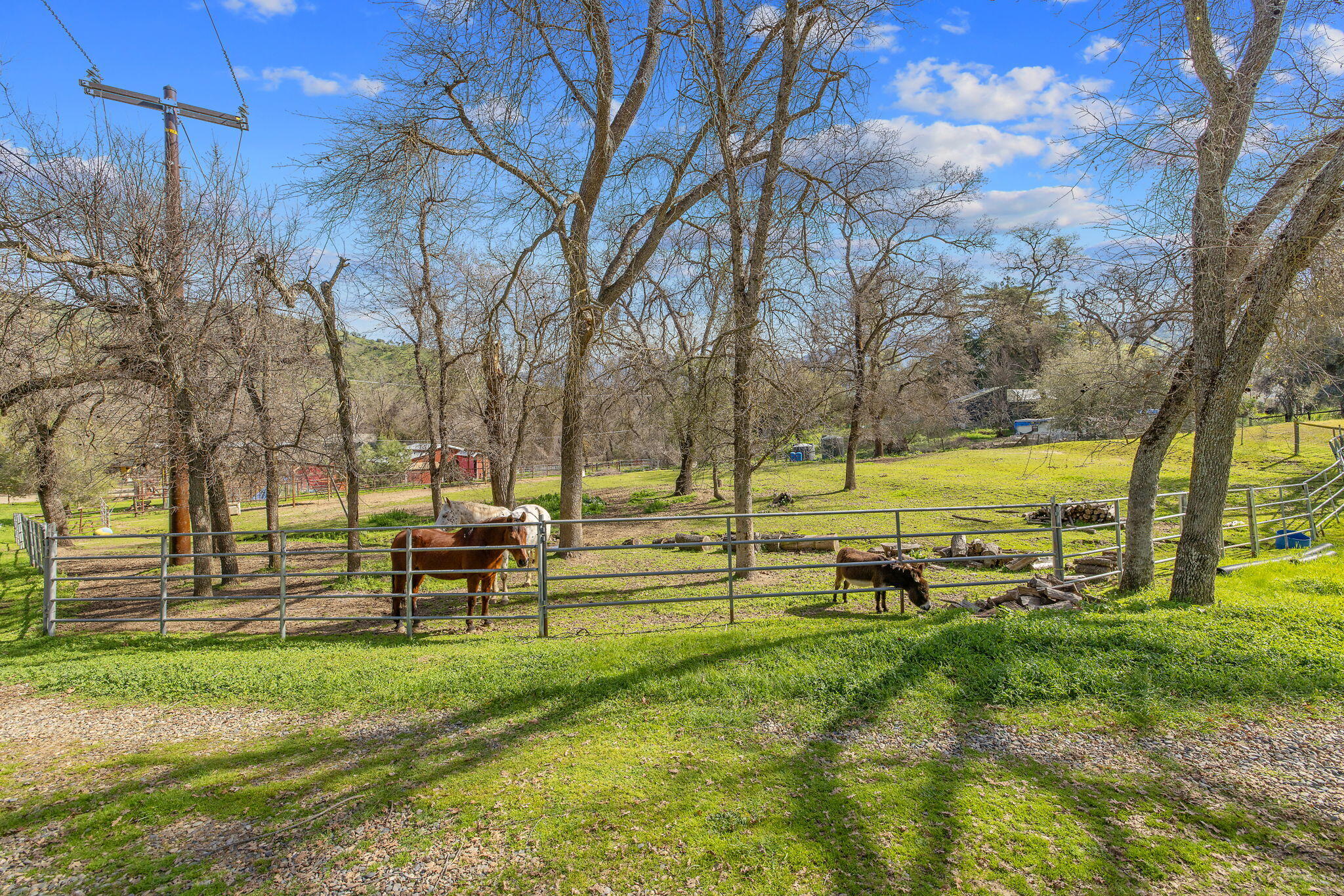 42843 North Fork Drive Three Rivers, CA 93271 - Photo 42 of 73 49-web-or-mls-713A0161