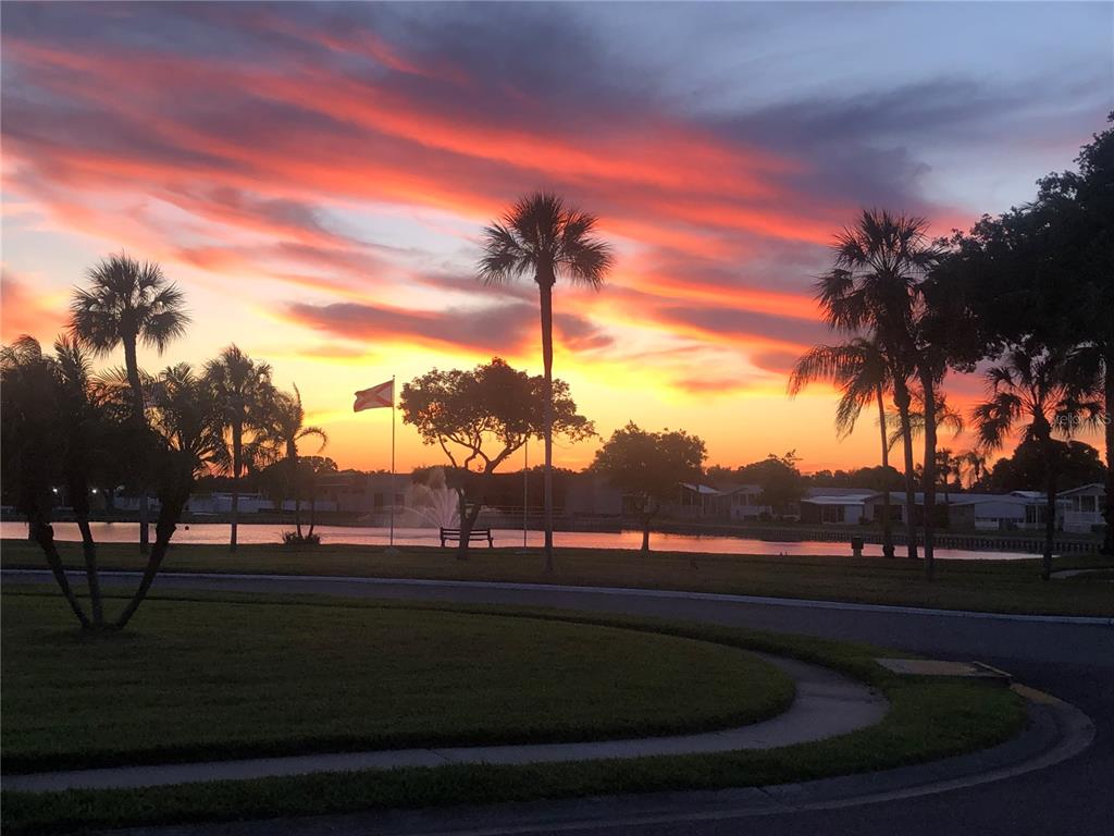 1100 South Belcher Road, Unit 57 Largo, FL 33771 - Photo 59 of 59