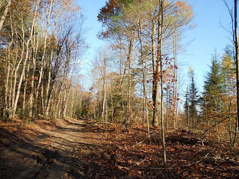 368 Farrand Hill Road Canton, ME 04221 - Photo 26 of 26 Other. Road leading into the camp