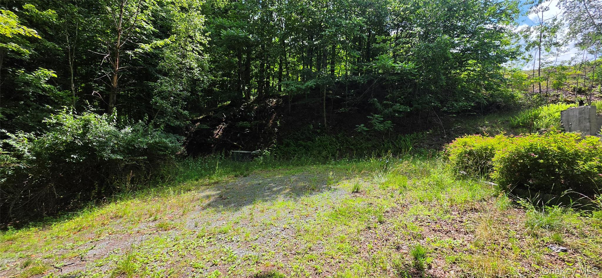 290 Cypert Road Woodbourne, NY 12788 - Photo 7 of 23