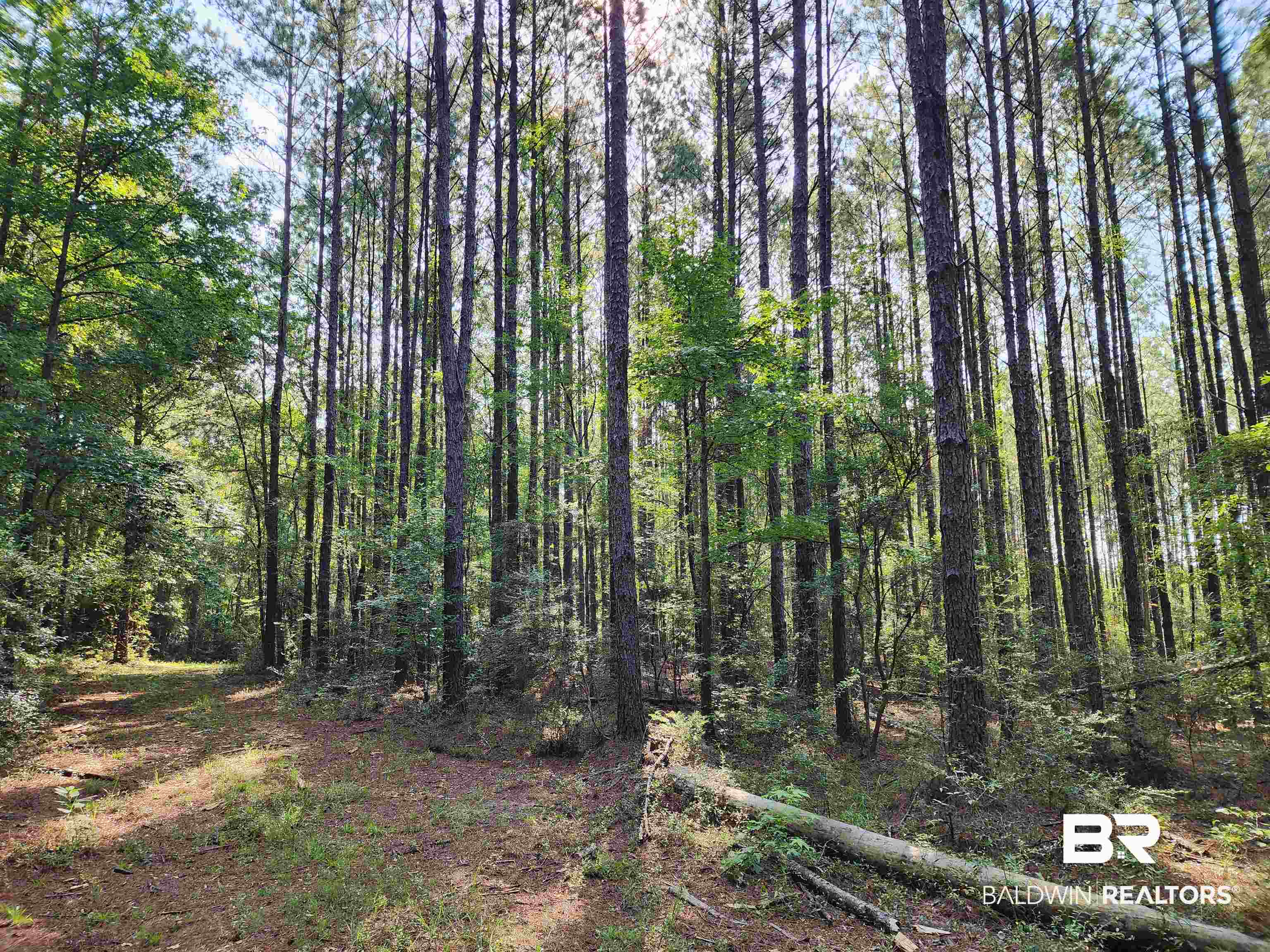 0 Lowery Road Atmore, AL 36502 - Photo 18 of 28