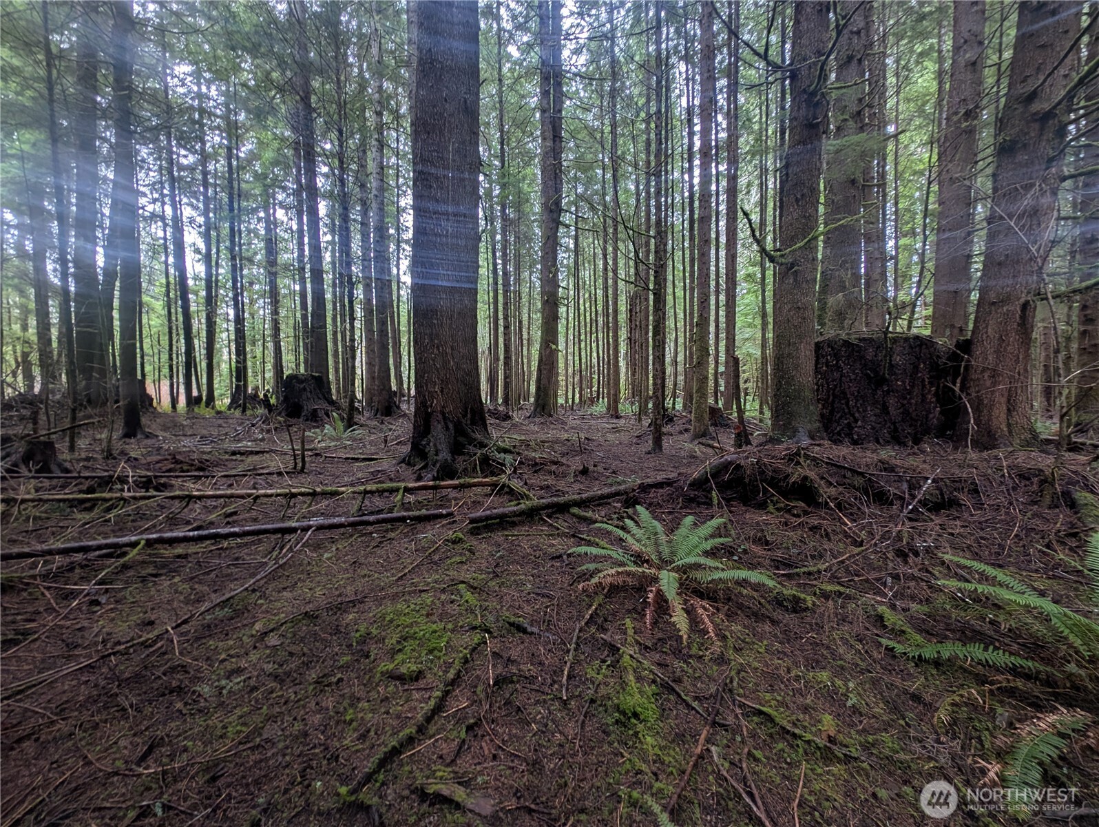 9991 Quillayute Road Forks, WA 98331 - Photo 12 of 40 Gallery Image 12