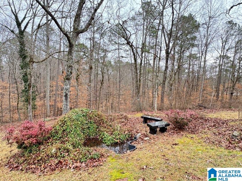 5121 Highway 9 Heflin, AL 36264 - Photo 38 of 54