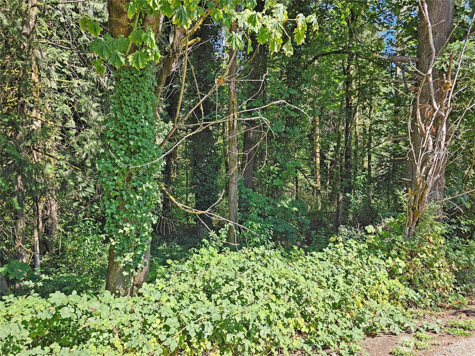 12630 183rd Avenue Southwest Rochester, WA 98579 - Photo 14 of 14