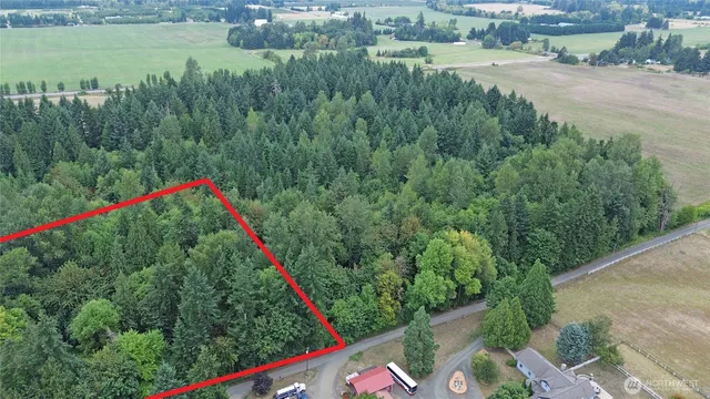 a view of a park with large trees and plants