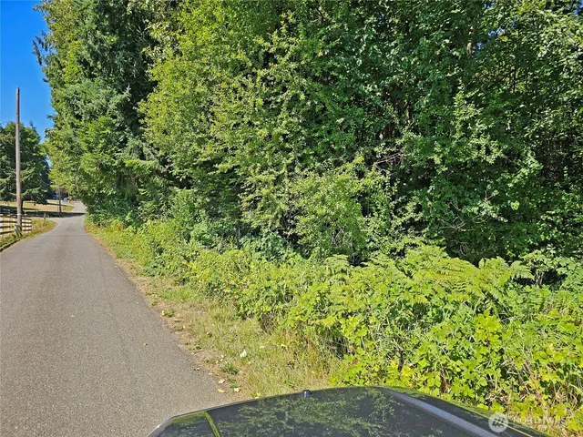 a view of a yard with plants