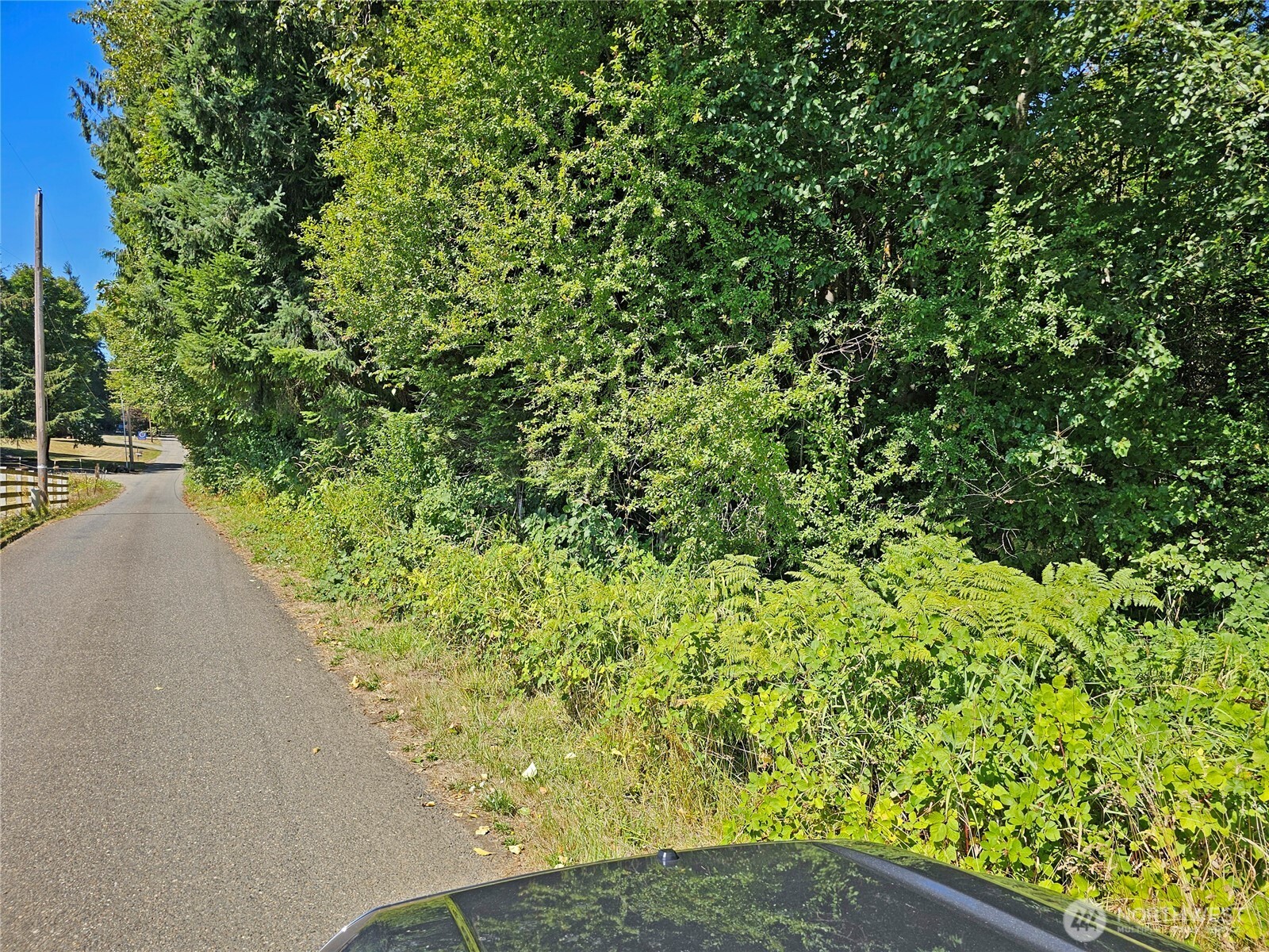 12630 183rd Avenue Southwest Rochester, WA 98579 - Photo 4 of 14