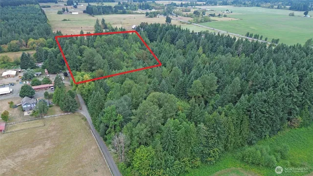 a view of a garden with flowers and trees