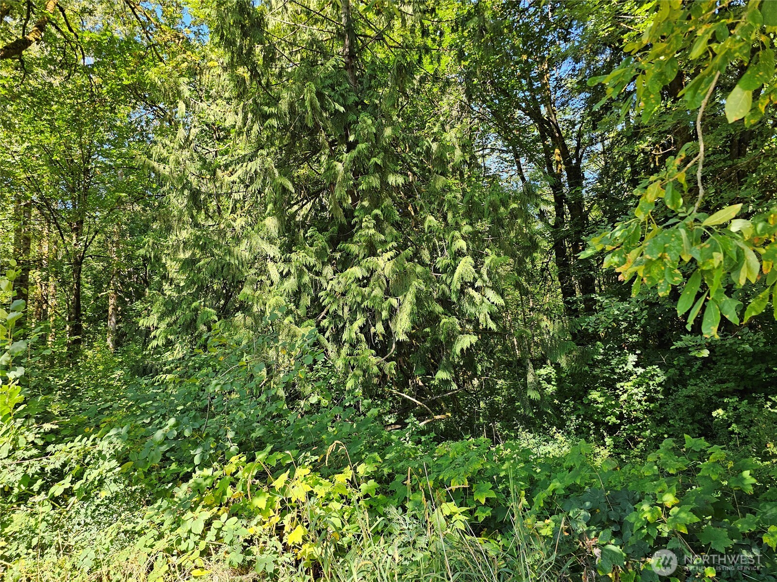 12630 183rd Avenue Southwest Rochester, WA 98579 - Photo 10 of 14