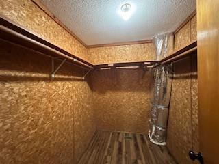 48 Glen Torr Mineral Bluff, GA 30559 - Photo 20 of 25 a view of walk in closet