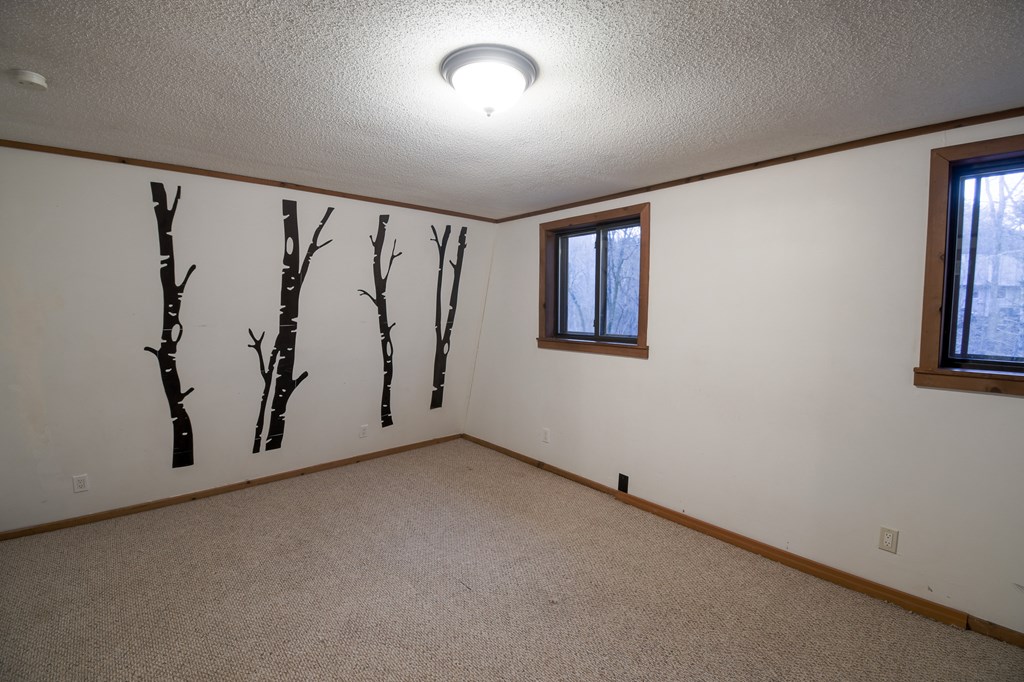 48 Glen Torr Mineral Bluff, GA 30559 - Photo 7 of 25 an empty room with windows