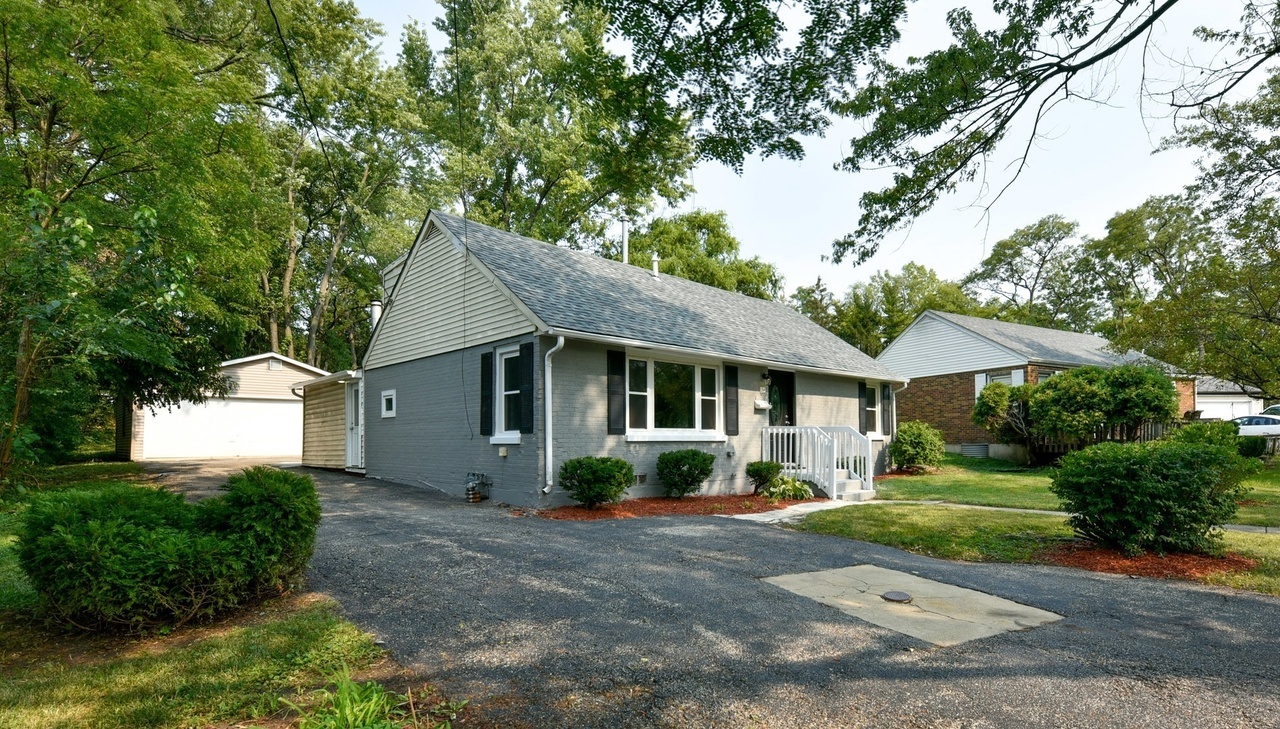 a view of a yard in front of a house with plants and large tree