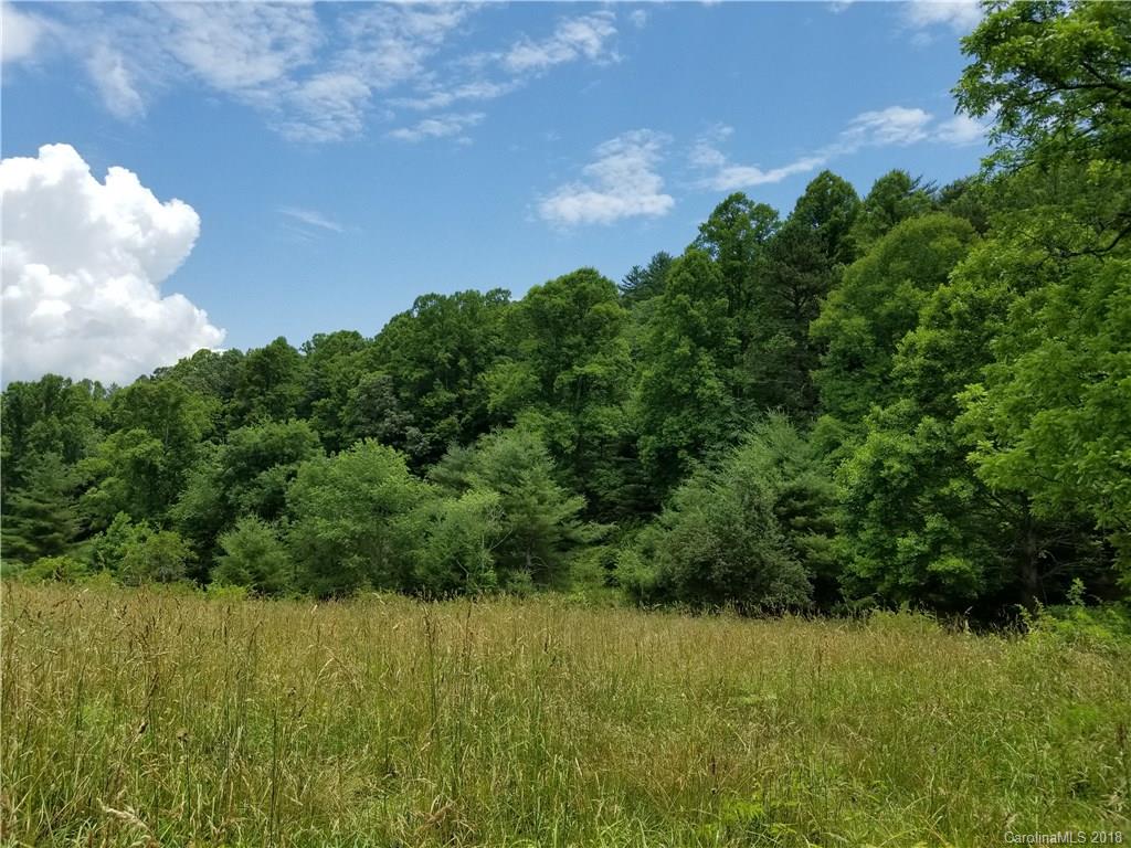 4 B Rabbit Skin Road, Unit 4B Waynesville, NC 28785 - Photo 3 of 8