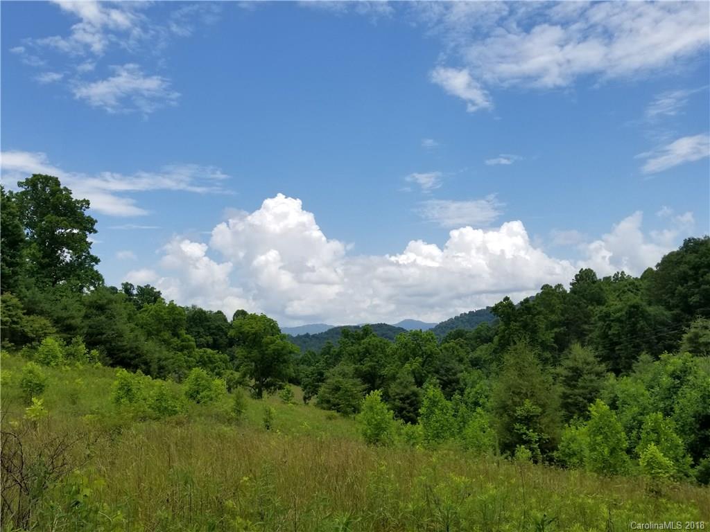 4 B Rabbit Skin Road, Unit 4B Waynesville, NC 28785 - Photo 4 of 8
