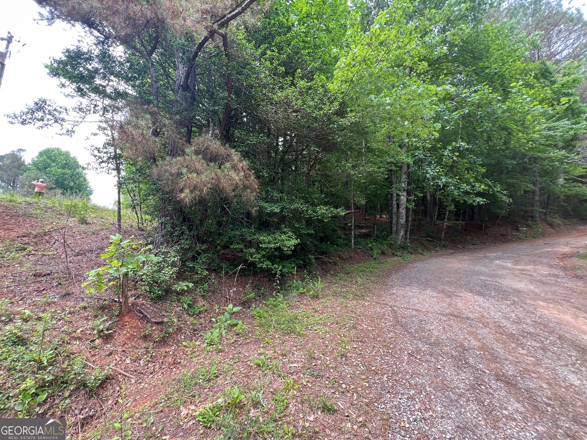 0 Mr Bert Road Hiawassee, GA 30546 - Photo 22 of 22