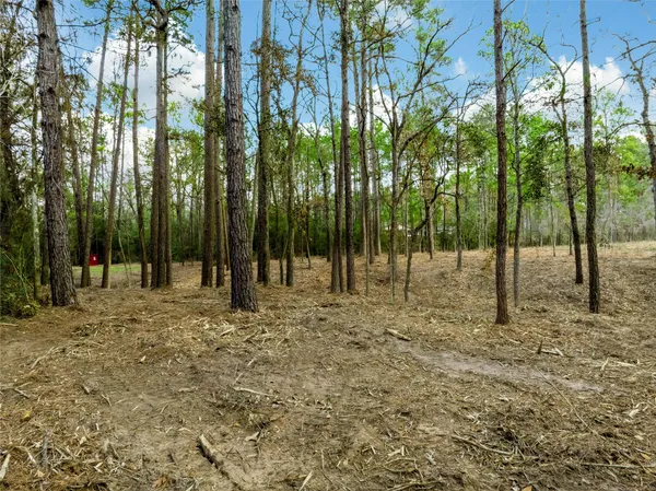 a view of outdoor space with trees