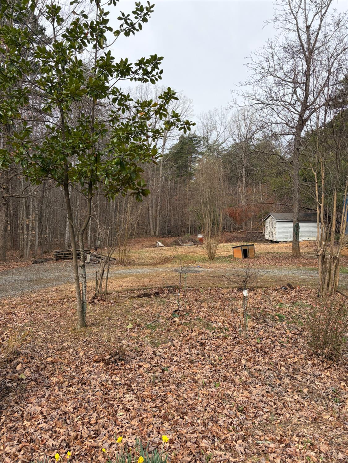 65 June Way Evington, VA 24550 - Photo 13 of 13 a backyard of a house with lots of green space