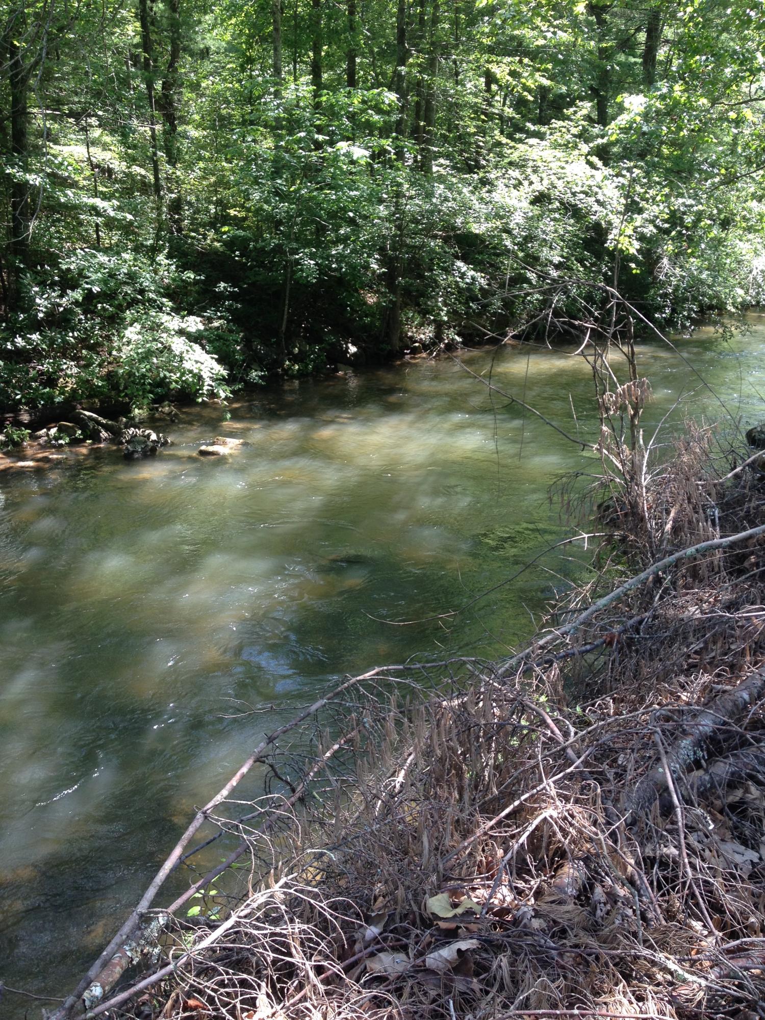 6076 Peaceful Valley Road New Castle, VA 24127 - Photo 3 of 16 Barbours Creek