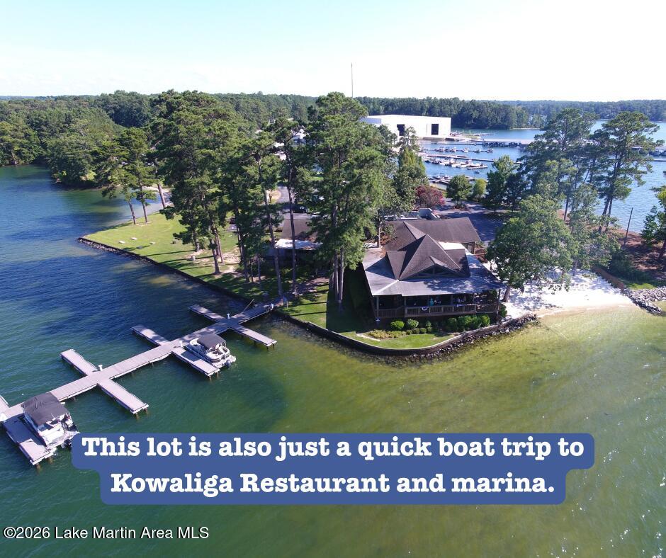 889 Driftwood Point Road Titus, AL 36080 - Photo 22 of 22 Boat to Kowaliga Restaurant and marina