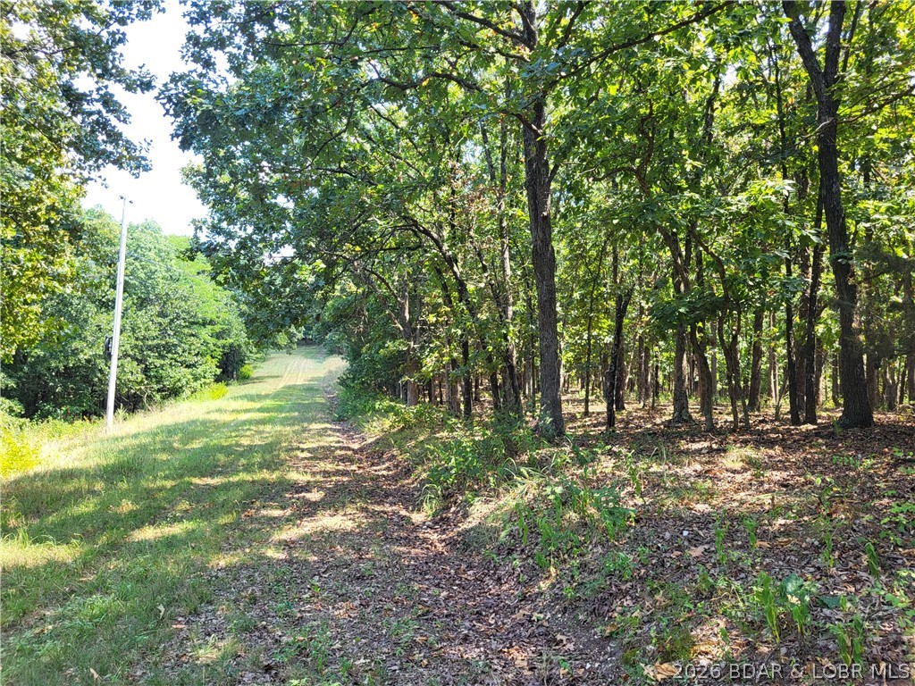 Trinchera Road, Unit 3944 & 3945 Edwards, MO 65326 - Photo 13 of 18 Gallery Image 13