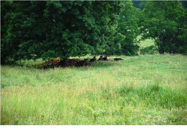 4357 Spring Place Road Southeast Cleveland, TN 37323 - Photo 29 of 33 Additional Photo