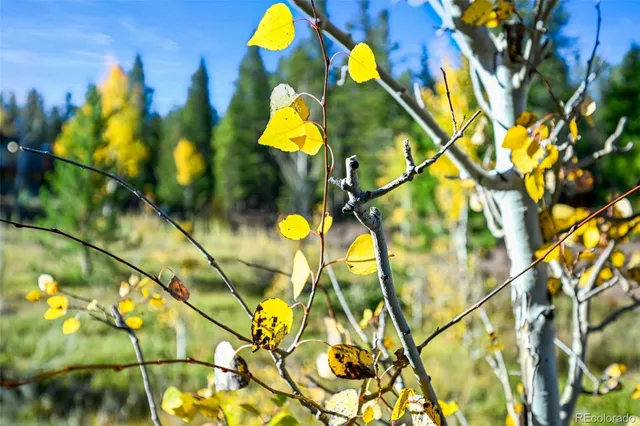 a view of a swimming pool