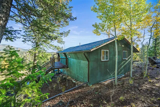 a green field covered with trees in the background