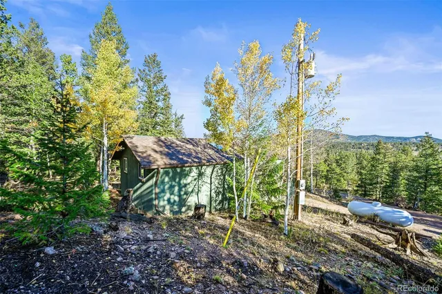 a view of a yard with plants and large trees