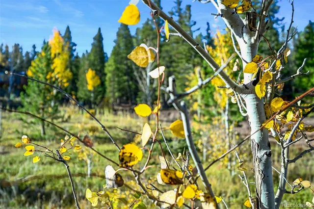 a view of a multi story building