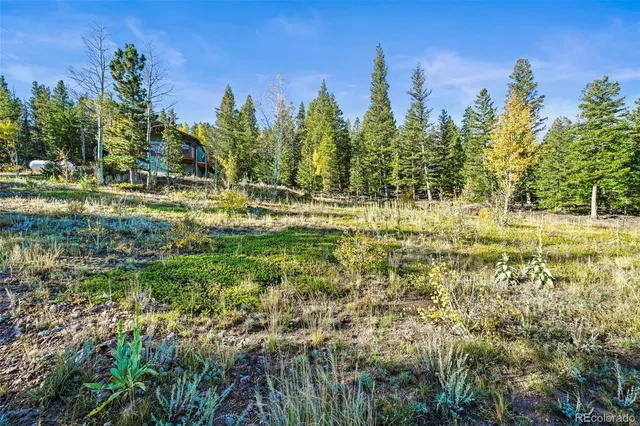 a view of a yard with a tree