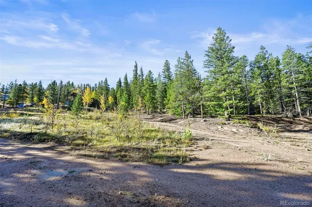 a view of a yard with trees