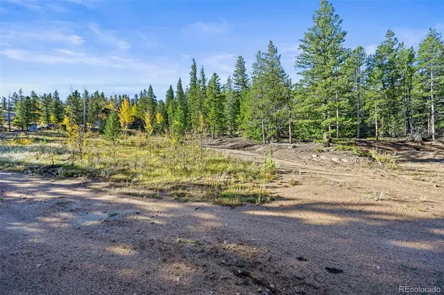 a view of a yard with plants and trees