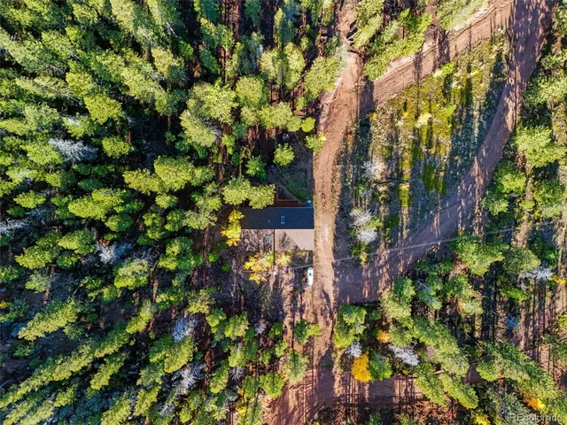 a view of flowers in yard