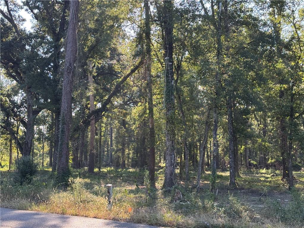 Dp-2 Carter Cemetery Road Springfield, LA 70462 - Photo 11 of 15