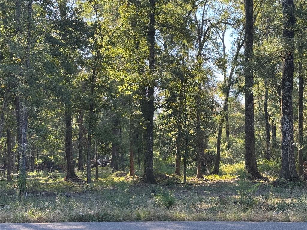 Dp-2 Carter Cemetery Road Springfield, LA 70462 - Photo 12 of 15